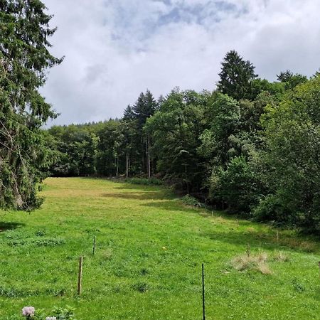 Apartament Bellavista Badenweiler Zewnętrze zdjęcie