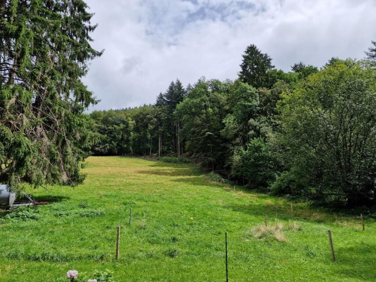 Apartament Bellavista Badenweiler Zewnętrze zdjęcie