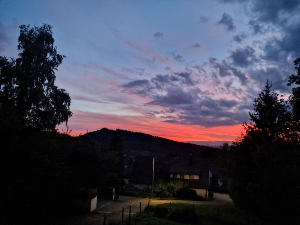 Apartament Bellavista Badenweiler Zewnętrze zdjęcie